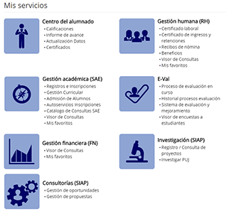 max_servicios